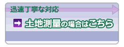 mynƉm@l΂̓ynʂ